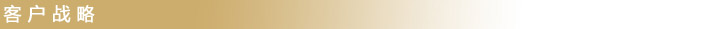 客戶戰略
